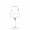 Wine glass Tentazioni Chardonnay 470ml