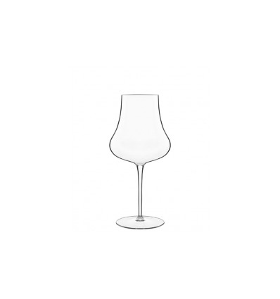 Wine glass Tentazione Orange 650ml