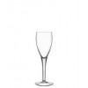 Champagne glass Michelangelo Professional 160ml