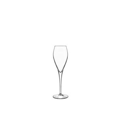 Šampanieša glāze Atelier 200ml
