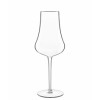 Prosecco glass Tentazioni 420ml