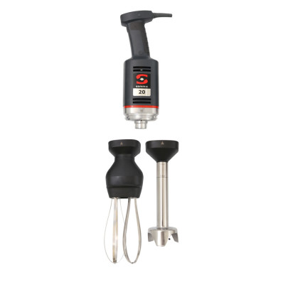 Hand mixer with mixing arm and replaceable whipping arm MB-21