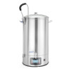 Beer brewing kettle