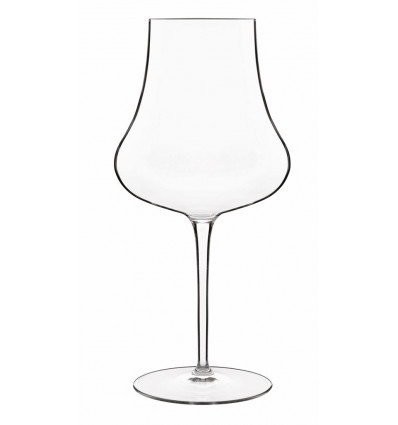 Wine glass Tentazioni Orange Tester 650ml