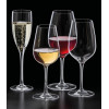 Champagne glass Rona Ratio 150ml