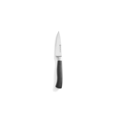 Paring knife