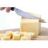Cheese knife for hard cheese