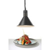 Rise and fall heat lamp conical