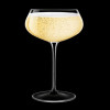 Champagne glasses Tentazioni 300ml, 6pcs