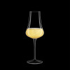 Prosecco glass Tentazioni 420ml