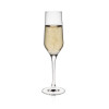 Champagne glass Rona Image 220ml