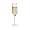 Šampanieša glāze Rona Image 220ml