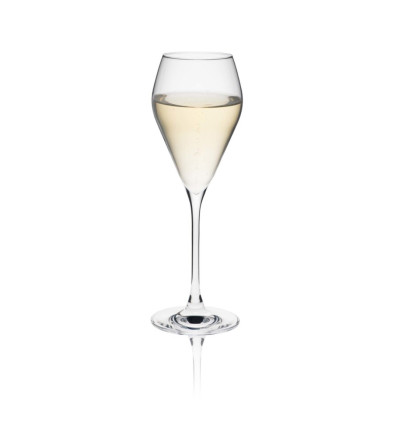 Champagne glass Rona Mode 240ml