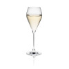 Champagne glass Rona Mode 240ml