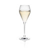 Šampanieša glāze Rona Mode 240ml