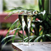 Champagne glasses Atelier 200ml, set 6 pcs