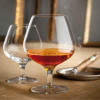 Cognac glasses Napoleon 3950ml, set 6 pcs