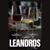 Vīna glāze Rona Leandros 480ml